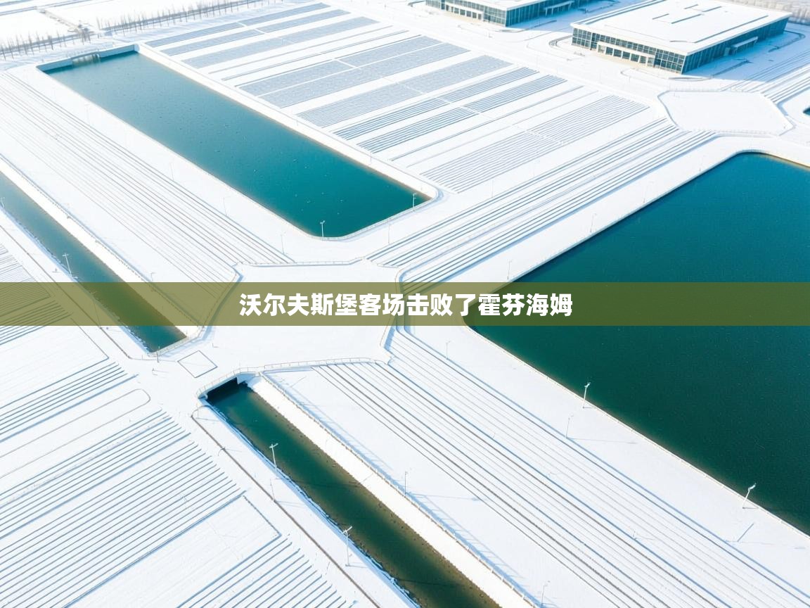 云开体育-沃尔夫斯堡客场击败了霍芬海姆