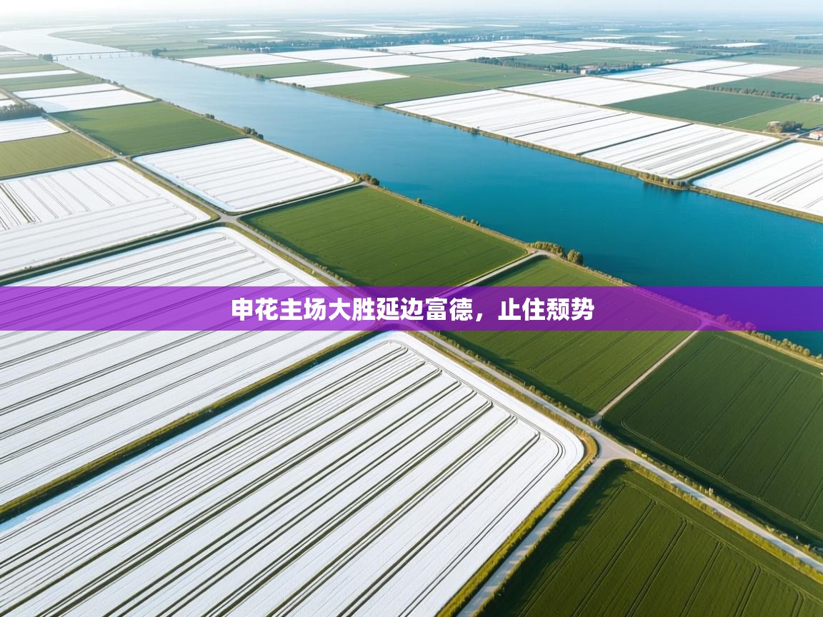 开运体育入口-申花主场大胜延边富德，止住颓势