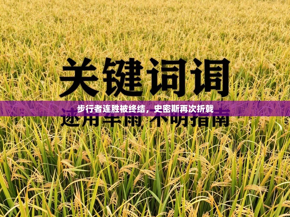 开云体育忘记密码找回-步行者连胜被终结，史密斯再次折戟  第2张