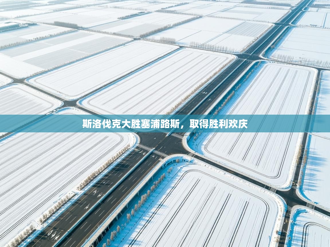 开云体育推送通知设置-斯洛伐克大胜塞浦路斯，取得胜利欢庆